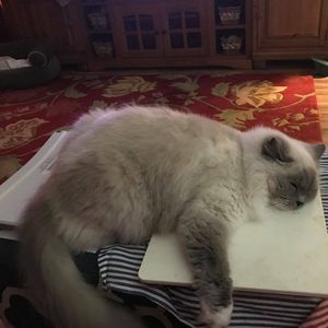 Meet your Posher, Kathy